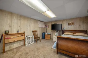Lower level bedroom.