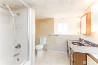 Lower level full bathroom.