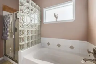 Soaking tub and stand up shower