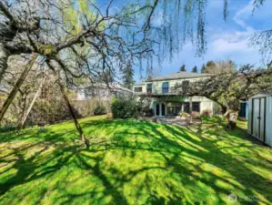 From the back of the property looking toward the house.