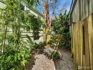 Bamboo zen meditation garden.
