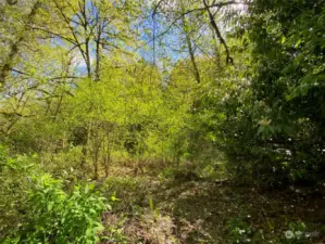 Trails behind sign.  Property is 98 feet of road frontage from the trailer south up hill