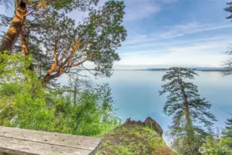 Views from 15 acres of pristine waterfront in private location.