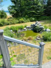 Water Feature