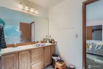 Primary bathroom