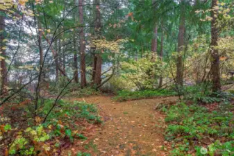 Private trail down to lake