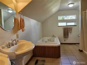 Jetted Tub and Full Size step in Shower