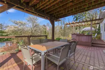 Inviting shaded space for BBQs and gatherings, enhanced by a planter box herb garden