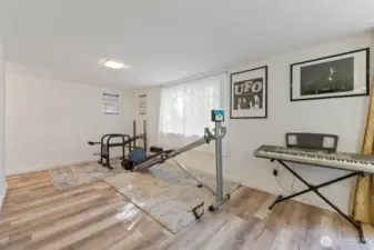 Lower level flex space