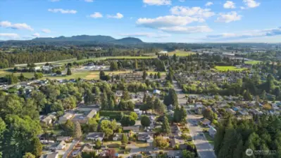 Aerial view from a drone
