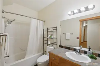 Lower level full bathroom, with brand new toilet.