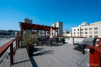 Roof top deck, garden, and barbecue