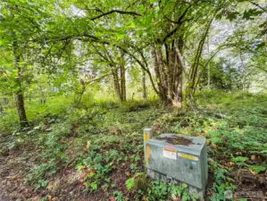 Electricity ready to connect to!