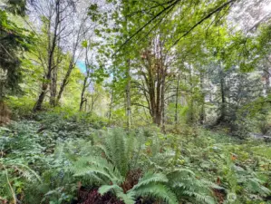 Virtual Tour of property available!