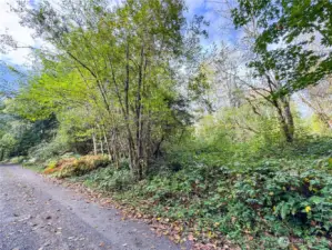 View of property from gravel road with back to Cornwall.