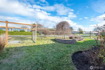 Fully enclosed front & side yard.