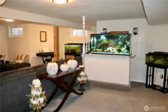 basement/downstairs mini bar