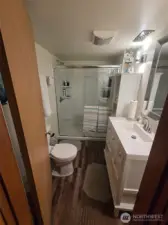 downstairs walk-in shower