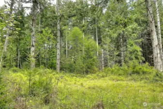 This is a landing on the way to the walking   nature trail. Enjoy lunch and the amazing   view from this private spot.