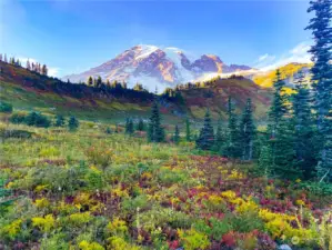 Mt Rainier is just two turns away