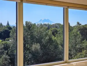Mt. Rainier View from your Living Room