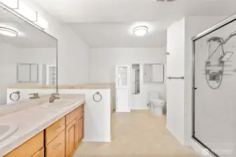 Dual Vanity Spaces