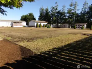 Northwest corner of back yard.