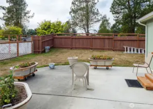 backyard space