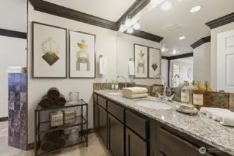 Primary suite bathroom. (some digital staging)