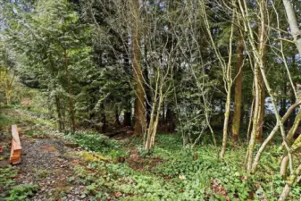 So much more to explore!