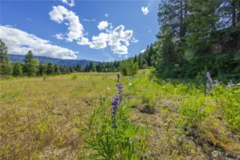 The private access road runs alongside the power easement...and would connect to all 3 lots