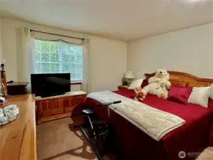Unit 1 bedroom 1