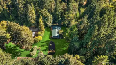 Drone Shot showing trees around perimeter and tons of Sun, Let the Hobby Farming, Flower Garden begin