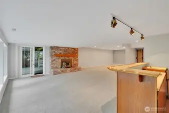 Downstairs family or Rec room