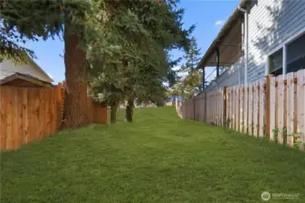RENDERING OF BACKYARD GRASS