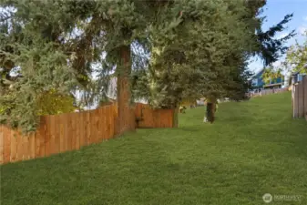 RENDERING OF BACKYARD GRASS