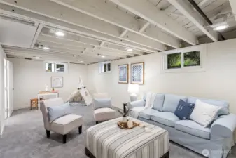 Lower level bonus room runs the entire length of the home.