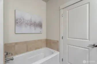 Master Bathtub