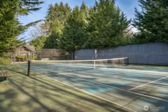 Pickle Ball/Tennis Court