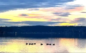 Lake Sammamish Beach Park