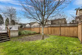 Low-maintenance backyard.