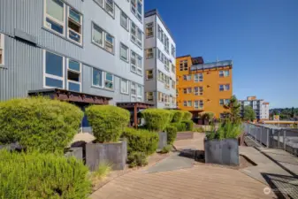 Relax outside on beautiful fall days and savor the crisp Seattle air in this charming second-floor outdoor space.