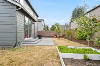 Garden space already built for your convenience and fruit trees/bushes already producing