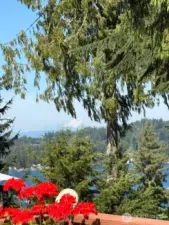 Another Seller taken photo when Mt Baker is out!