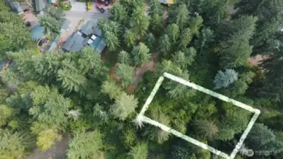 8 CEDAR