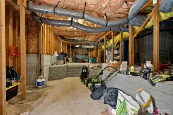 Downstairs, a bonus storage area in the basement! Dry, with high ceilings - this will save a ton of room for storage in the garage!