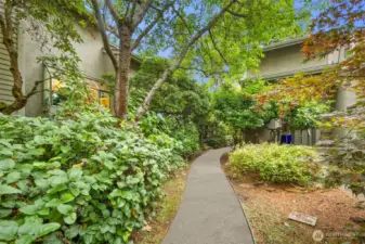 Beautifully landscaped garden path.