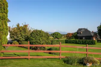 This home has a stunning view of Mount Baker!