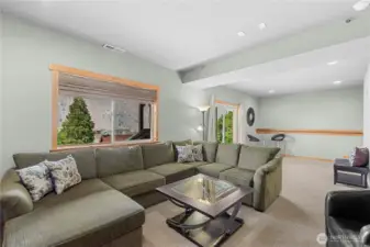 Lower level Bonus / Family Room