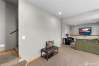 Lower level Bonus / Family Room
